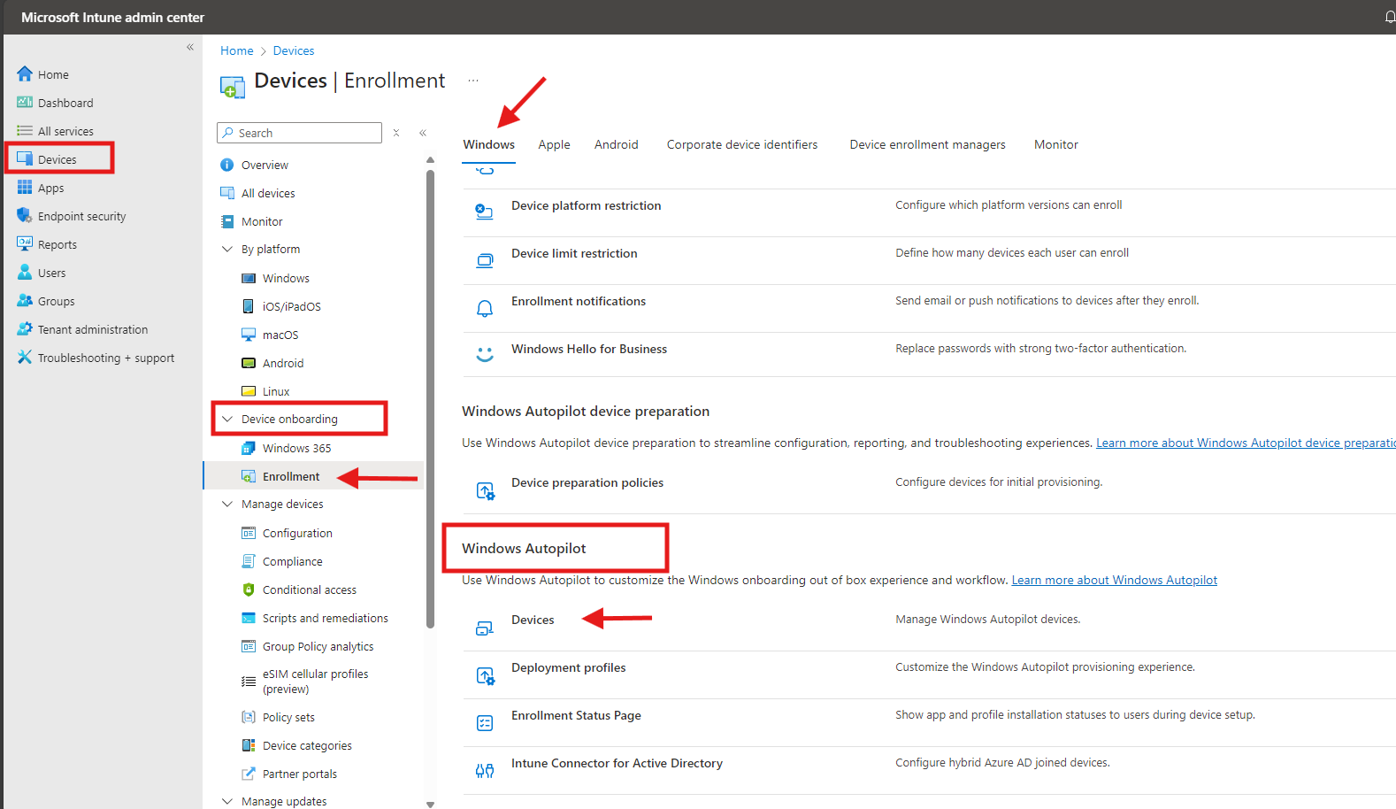 Windows Autopilot Import Devices.