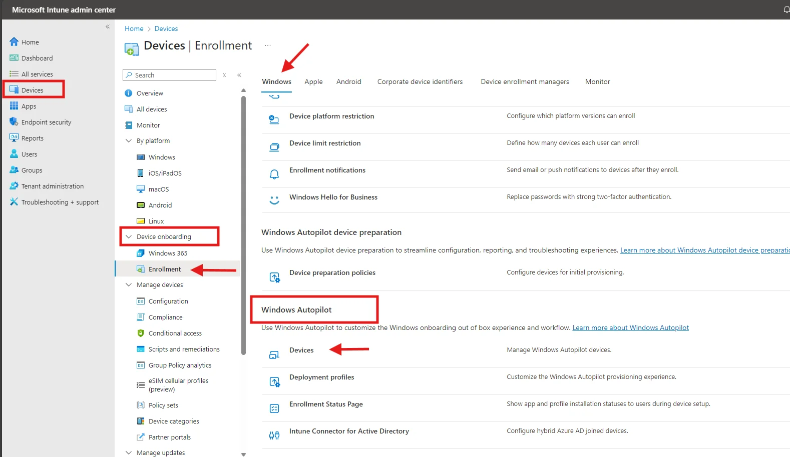 Windows Autopilot Import Devices.